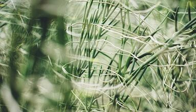 O'z qo'llaringiz bilan omadli amuletni qanday qilish kerak